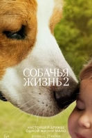 Фильм Собачья жизнь 2 (фильм 2019)