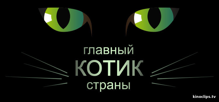 Фильм Главный котик страны последний выпуск (22.10.2017)