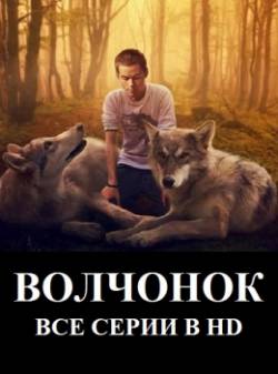 Фильм Волчонок 6 сезон 20 серия