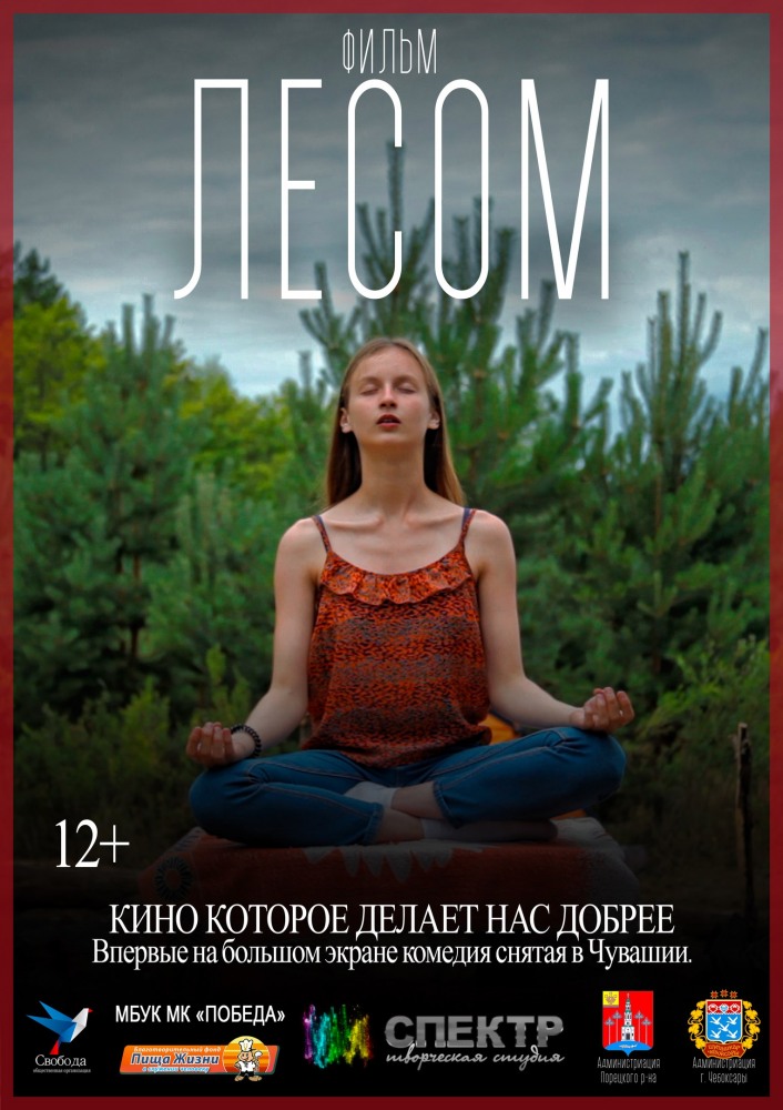 Фильм Фильм Лесом (2017)