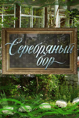 Фильм Сериал Серебряный бор 25,26 серия (2017)