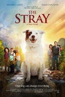 Фильм Фильм Бродяжка (2017)