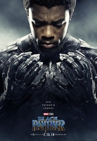 Фильм фильм Чёрная Пантера (2018)